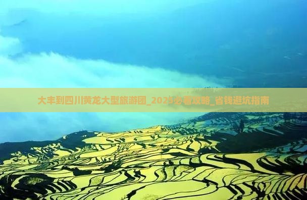 大丰到四川黄龙大型旅游团