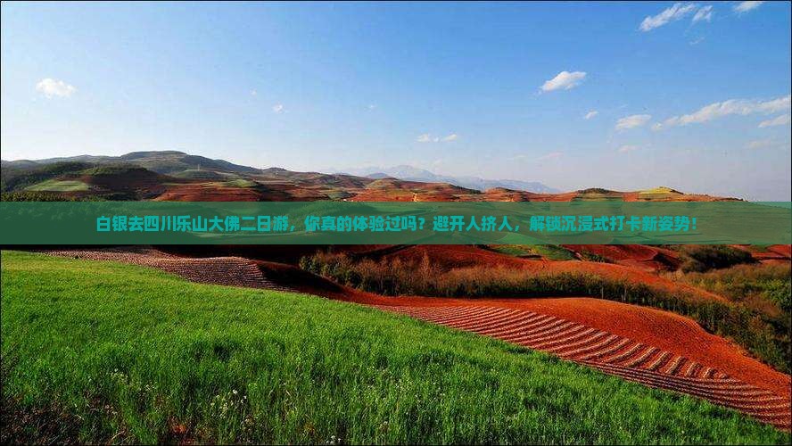 白银去四川乐山大佛二日游