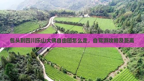 包头到四川乐山大佛自由团