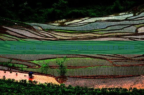 宜昌出发：四川青城山旅游攻略及成都路线景点一日游