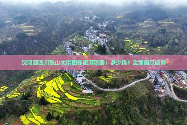 沈阳到四川乐山大佛团体旅游攻略：多少钱？全面信息咨询