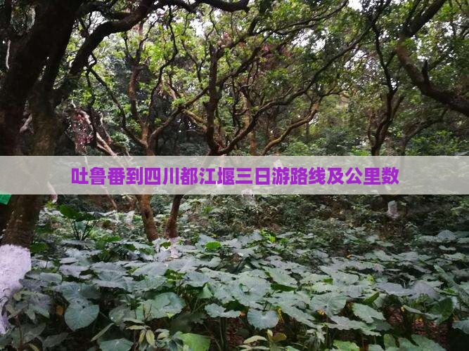 吐鲁番到四川都江堰三日游路线及公里数