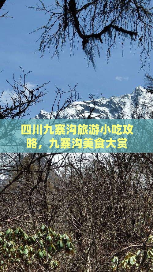 山南到四川九寨沟旅游小吃 山南到四川九寨沟旅游小吃