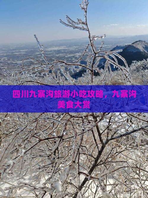 山南到四川九寨沟旅游小吃 山南到四川九寨沟旅游小吃