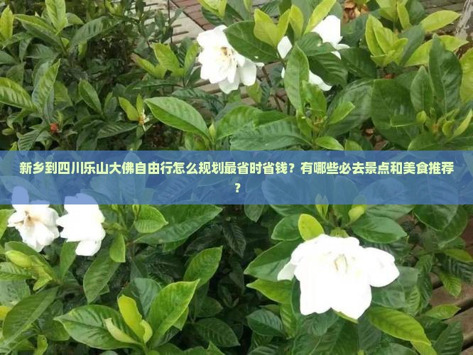 新乡去四川乐山大佛自由行