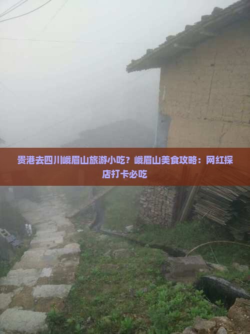 贵港去四川峨眉山旅游小吃