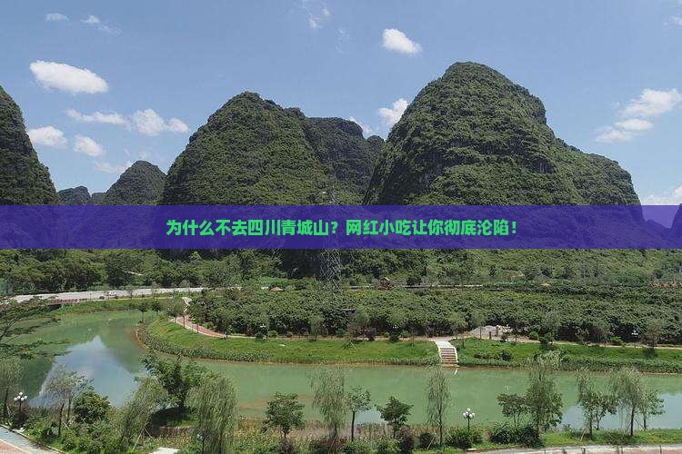 阿里去四川青城山旅游小吃