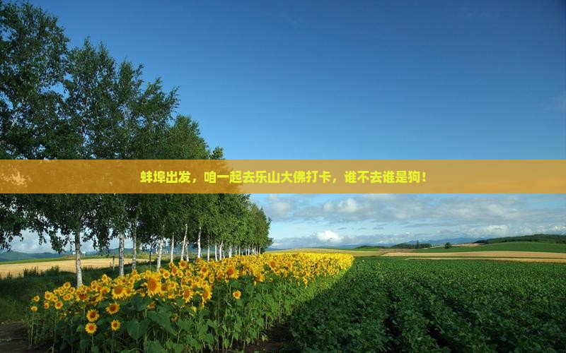 蚌埠去四川乐山大佛旅行社