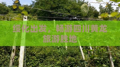 绥化到四川黄龙旅游