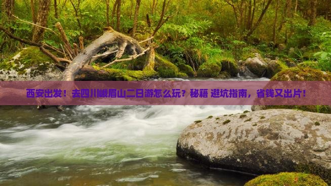 西安去四川峨眉山二日游