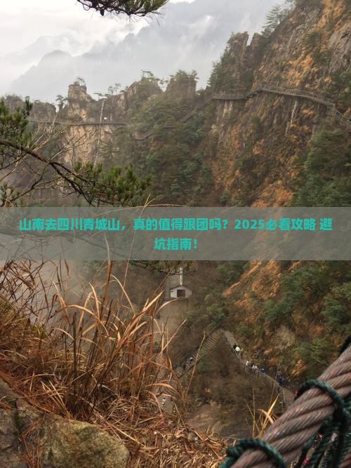 山南去四川青城山大型旅游团