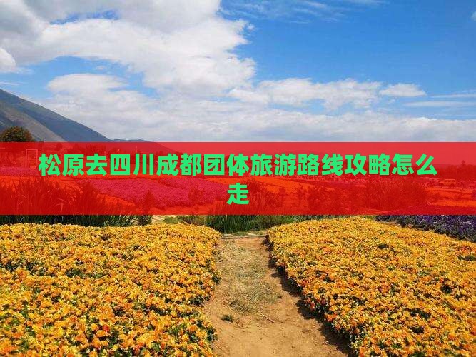 松原去四川成都团体旅游