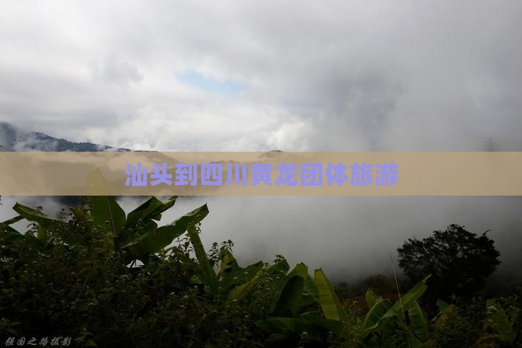 汕头到四川黄龙团体旅游