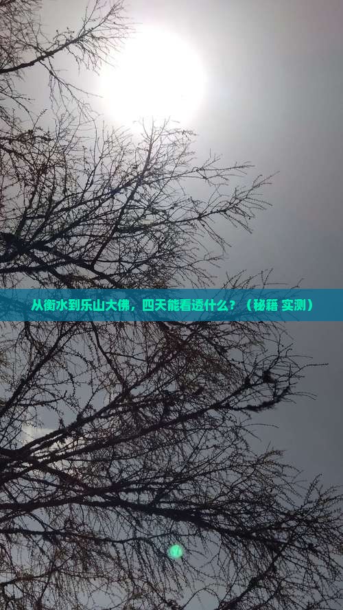 衡水去四川乐山大佛四日游