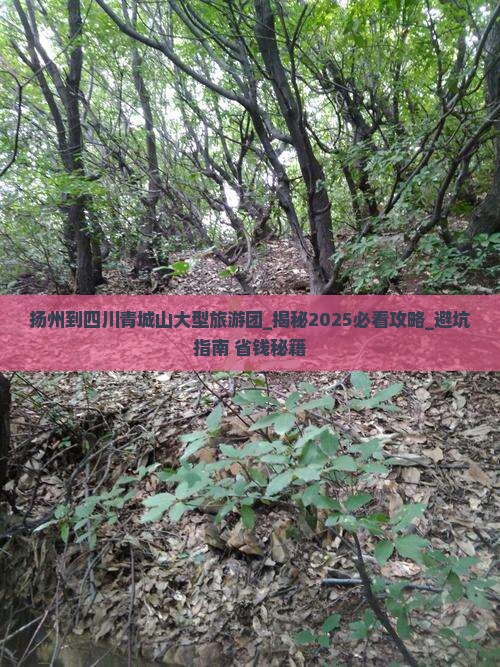 扬州到四川青城山大型旅游团