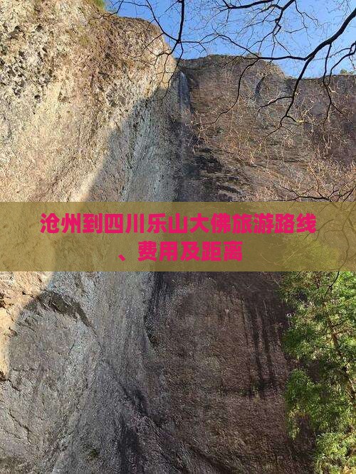沧州到四川乐山大佛旅游