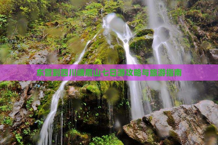 东营到四川峨眉山七日游