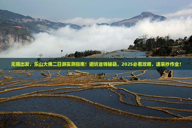 无锡到四川乐山大佛二日游