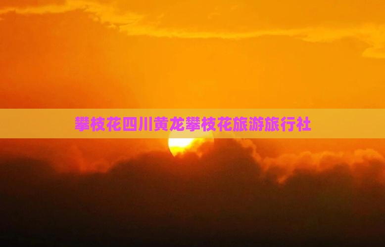 攀枝花去四川黄龙旅行社
