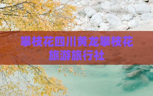 攀枝花去四川黄龙旅行社