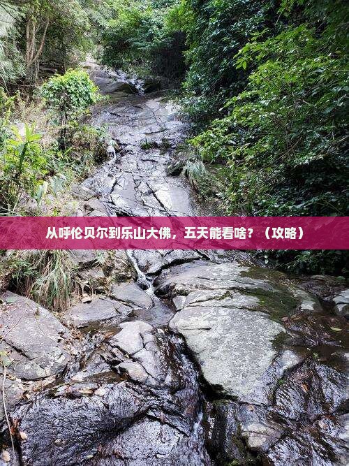 呼伦贝尔去四川乐山大佛五日游