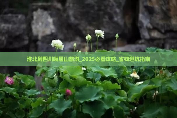 淮北到四川峨眉山旅游