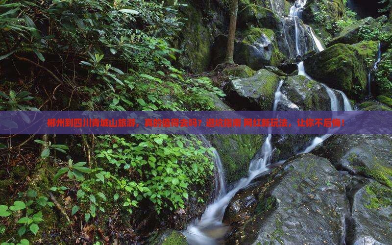 郴州到四川青城山旅游