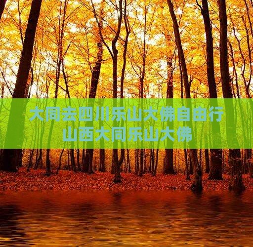 大同去四川乐山大佛自由行