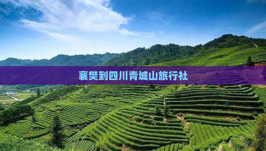 襄樊到四川青城山旅行社