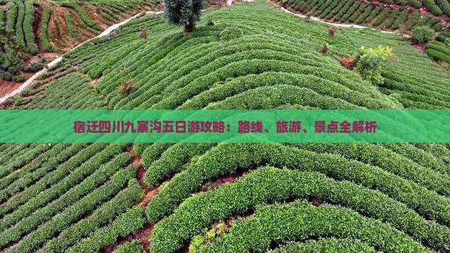 宿迁去四川九寨沟五日游
