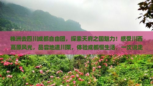 株洲去四川成都自由团