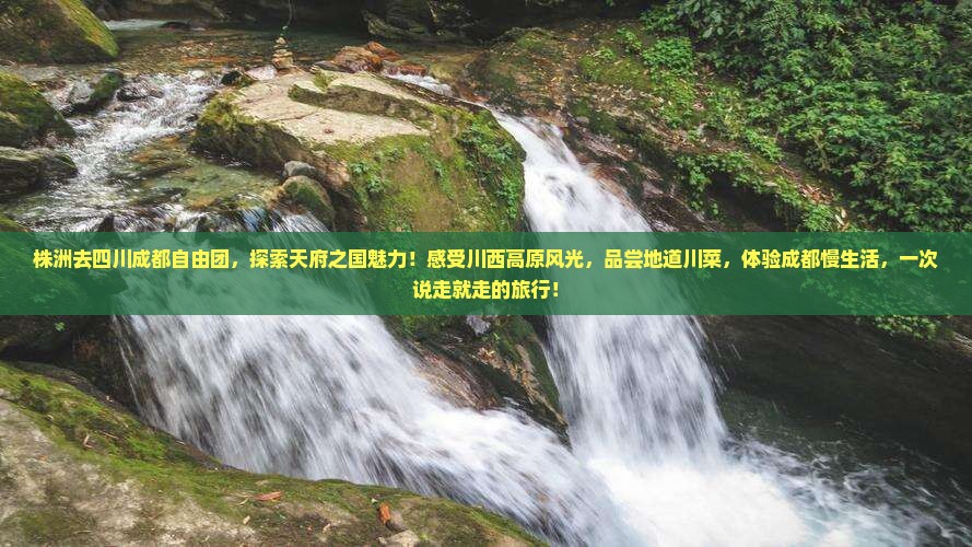 株洲去四川成都自由团
