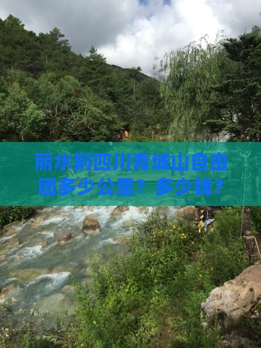 丽水到四川青城山自由团