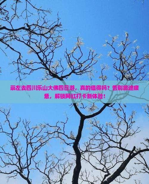 崇左去四川乐山大佛四日游