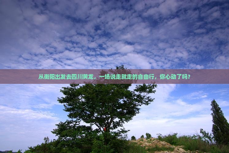 衡阳到四川黄龙自由团
