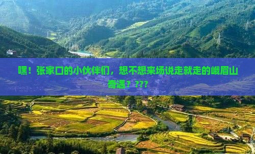 张家口去四川峨眉山团体旅游