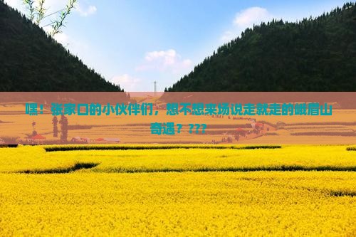 张家口去四川峨眉山团体旅游