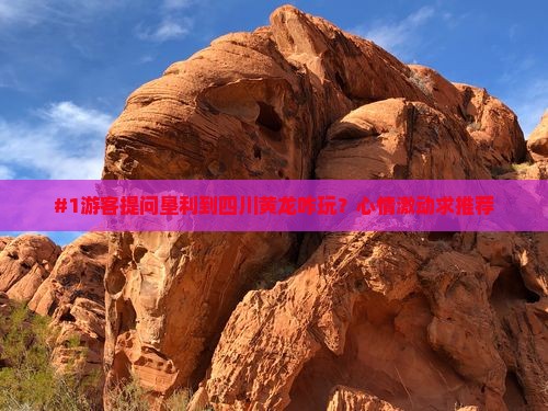 垦利去四川黄龙旅游