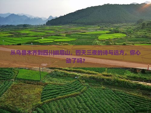 乌鲁木齐到四川峨眉山四日游