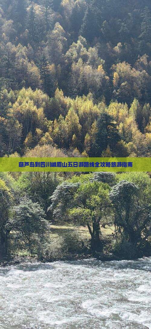 葫芦岛到四川峨眉山五日游