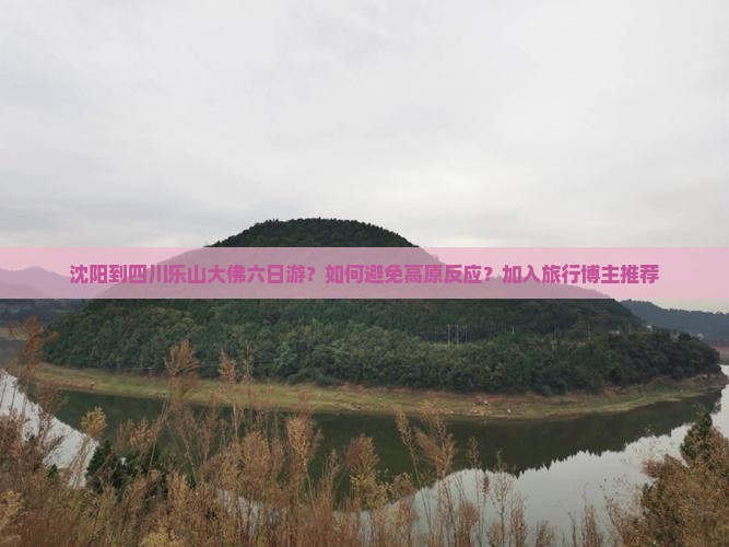 沈阳到四川乐山大佛六日游