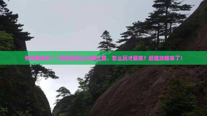 忻州到四川乐山大佛三日游