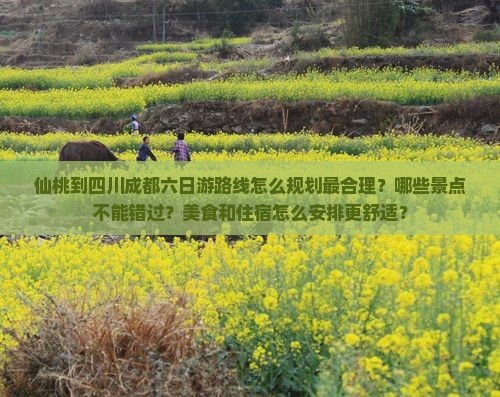 仙桃到四川成都六日游