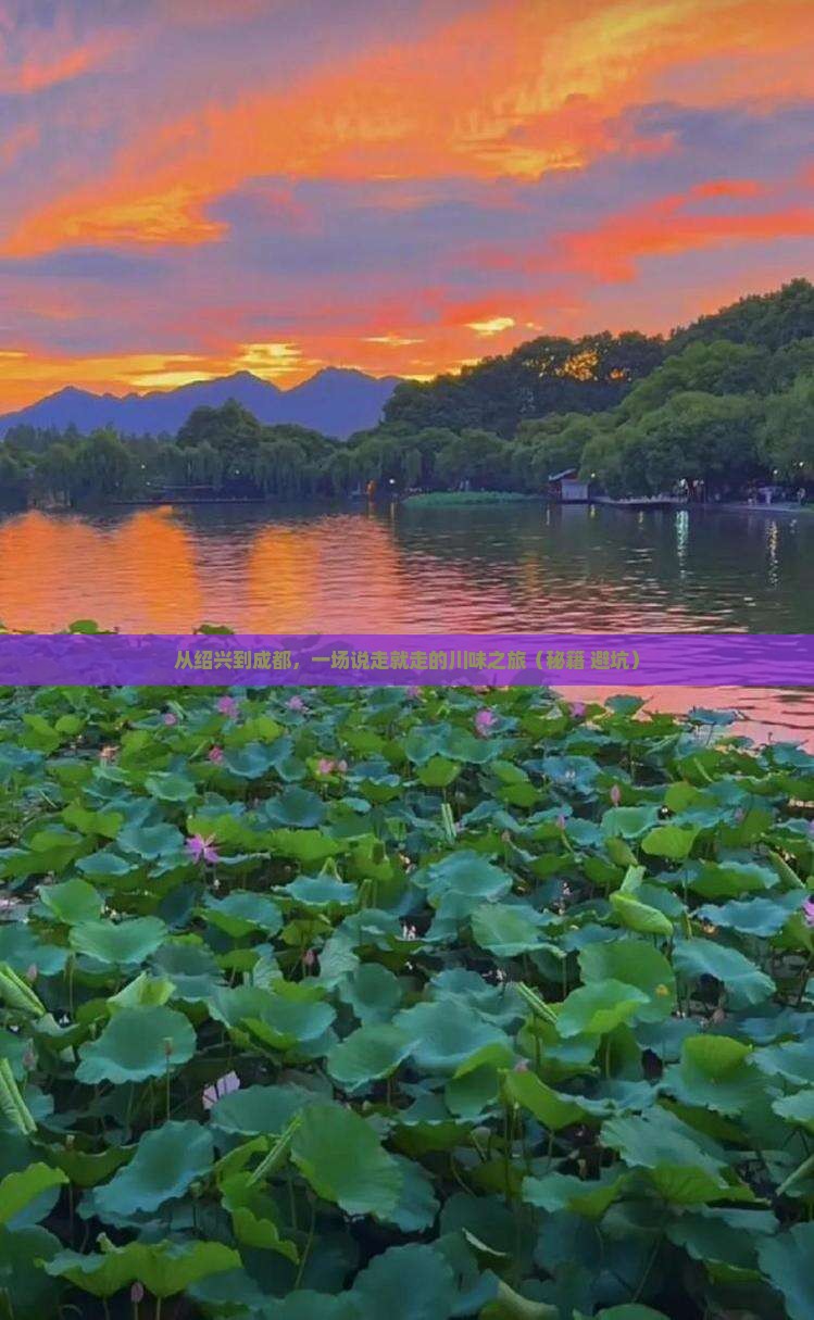 绍兴到四川成都旅游