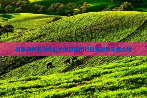 阿泰勒到四川乐山大佛自由团