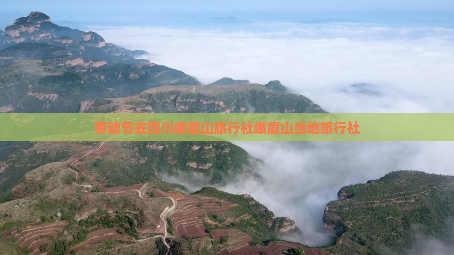 劳动节去四川峨眉山旅行社