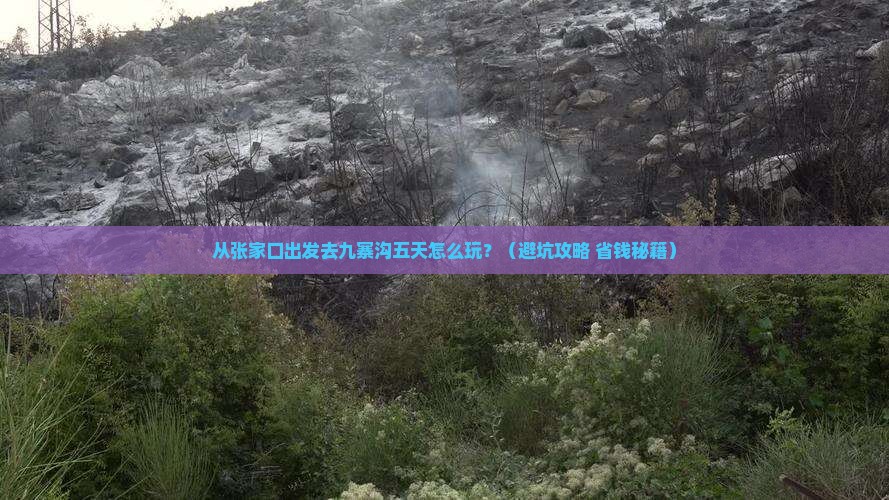 张家口到四川九寨沟五日游