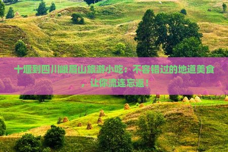 十堰到四川峨眉山旅游小吃