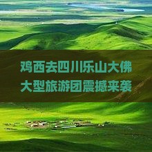 鸡西去四川乐山大佛大型旅游团