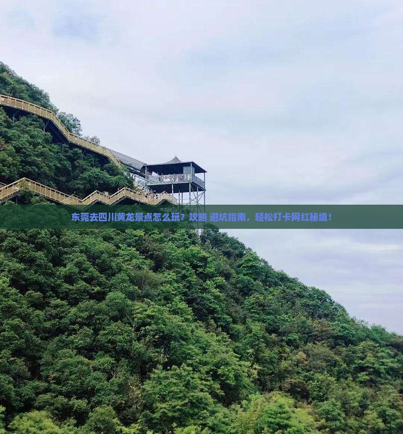 东莞去四川黄龙景点